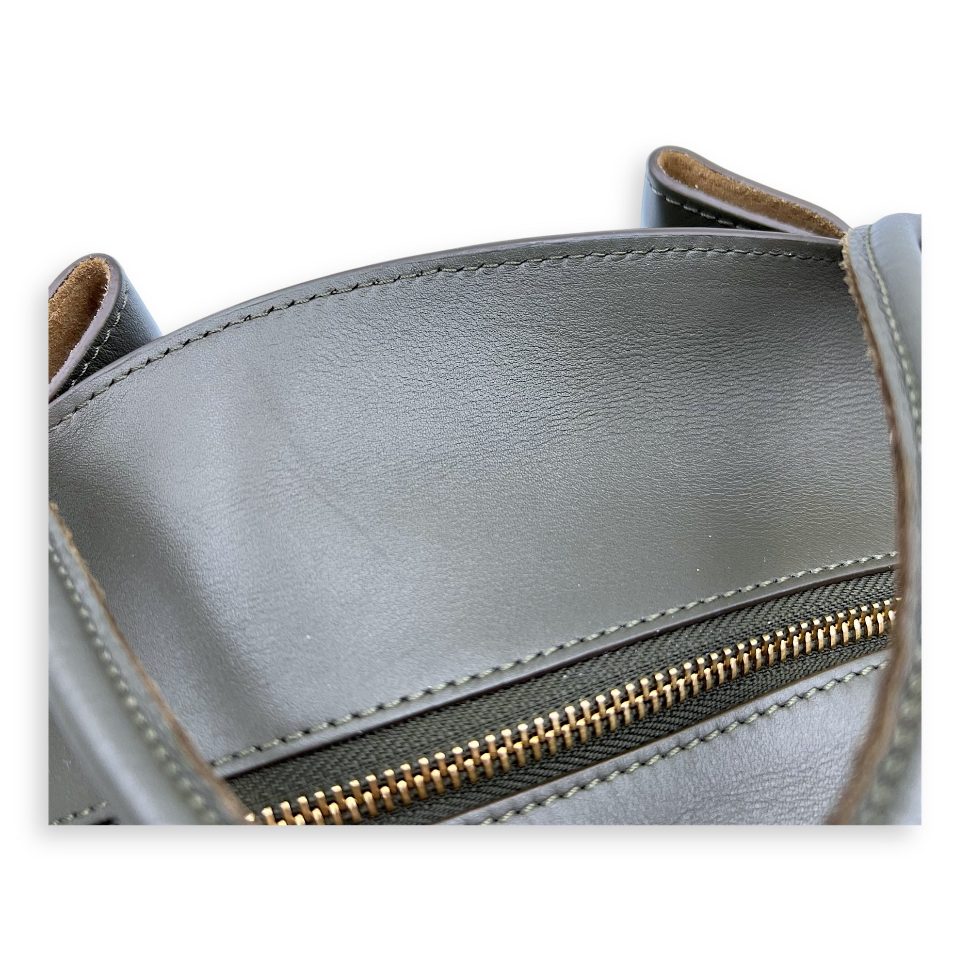 Paseo Top Handle Bag Green in Calfskin, Gold hardware - Image 8